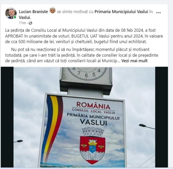 Viceprimarbraniste