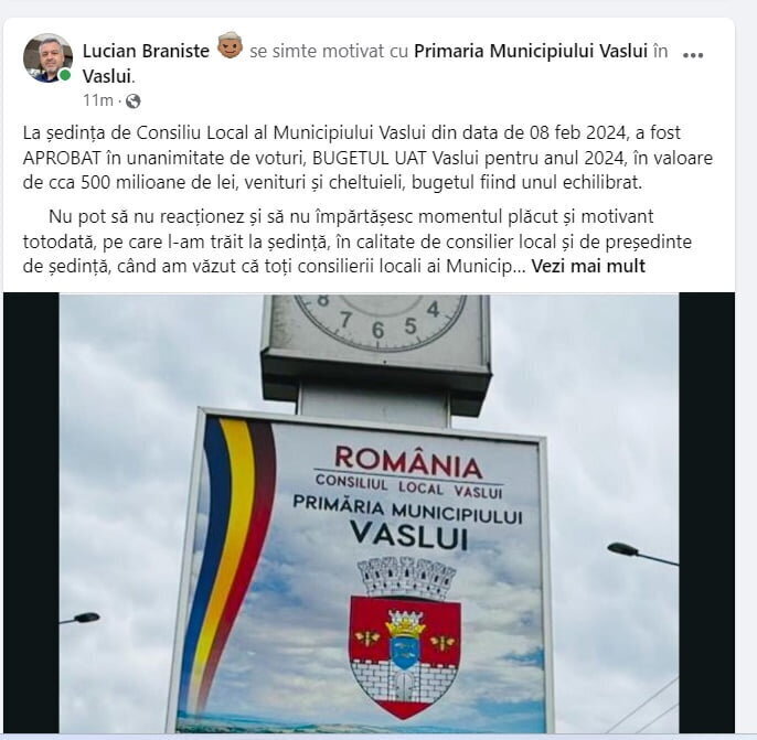 Viceprimarbraniste