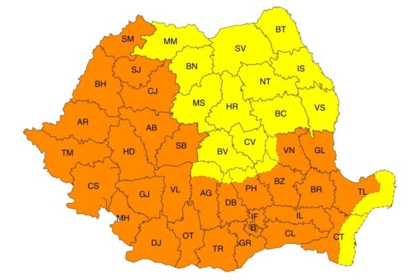 n 1